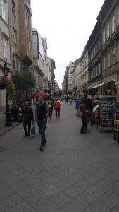 a group of people walking down a city street at Sugar House City Center Apartment in Budapest
