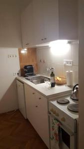 a small kitchen with a stove and a sink at Sugar House City Center Apartment in Budapest