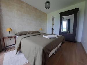 1 dormitorio con 1 cama grande y espejo en Gîte à la ferme avec sauna, forêt de Fontainebleau, en Milly-la-Forêt