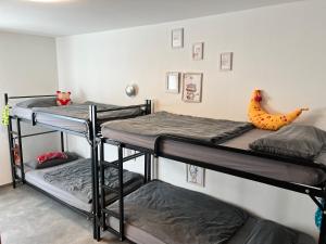 two bunk beds in a room with a wall at Landhaus Stetten in Stetten