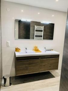 a bathroom with a sink and a mirror at Gîte Cosy au cœur de l'Alsace in Roggenhouse