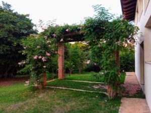 a pergola with roses on it in a yard at Morada do Ipê Pousada in Chapada dos Guimarães +11 photos