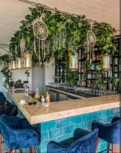a bar with plants on the wall and blue chairs at Tu hogar de lujo en equipetrol in Santa Cruz de la Sierra