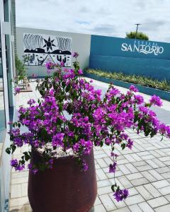 a large pot filled with purple flowers on a sidewalk at Pousada Santo Rio in Piranhas