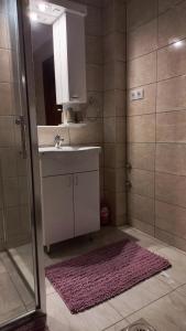 Un baño con lavabo y ducha con espejo. en Sobe Palasthy, en Novi Bečej