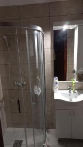 un baño con ducha y lavabo en Sobe Palasthy, en Novi Bečej 5 fotos más