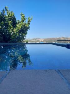 a pool of water with trees in the background at Villa Bitez in Bodrum City