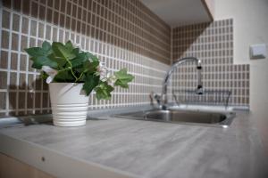a kitchen counter with a sink and a potted plant at Euaggelias & Cristianas House in Aristi +32 photos