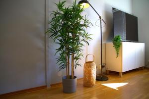Φωτογραφία από το άλμπουμ του Moon apartment near the Centre ! Free parking available ! στο Τρόντχαϊμ