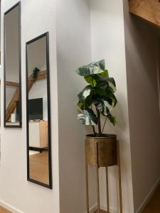 eine Pflanze in einer Vase neben einem Spiegel in der Unterkunft Eine schöne Wohnung an der Birs in Basel