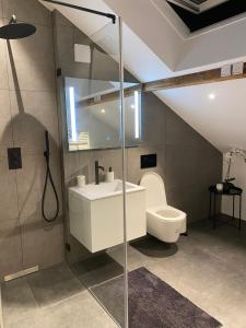 ein Bad mit einem Waschbecken und einem WC in der Unterkunft Eine schöne Wohnung an der Birs in Basel
