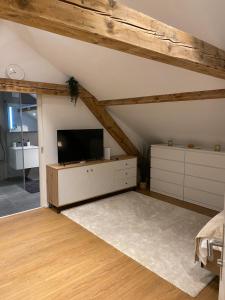 a living room with a flat screen tv in a attic at Eine schöne Wohnung an der Birs in Basel