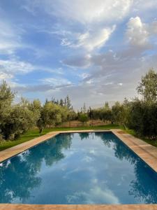 una piscina en un patio con árboles en Villa de l'ATLAS, en Marrakech