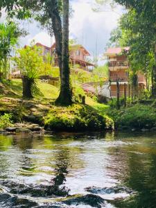 a river with trees and houses in the background at La Casa del Rio B&B in Puyo