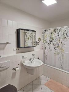 La salle de bains est pourvue d'un lavabo et d'un miroir. dans l'établissement Haus in Bad Vilbel Messe Festhalle Hund, à Bad Vilbel
