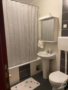 a bathroom with a toilet and a sink and a shower at D Apartment Free private Parking in Novi Sad