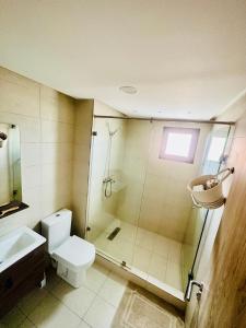 uma casa de banho com um chuveiro, um WC e um lavatório. em Appartement Cozy avec piscine em Sidi Rahal
