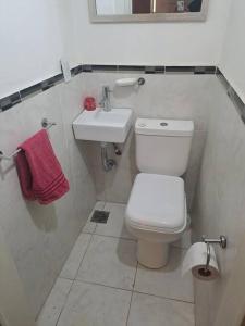 ein Badezimmer mit einem weißen WC und einem Waschbecken in der Unterkunft Casa La Nona 5 personas con patio y quincho in Cordoba