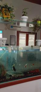 um grande aquário com um peixe num quarto em Aeropuerto a 5' y Ruta del Vino a 100 mts em Salta