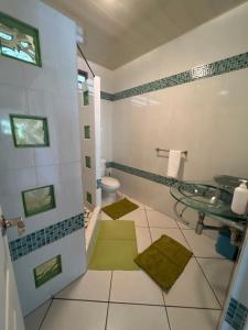 a bathroom with a toilet and a glass sink at Fare Moehani in Paea