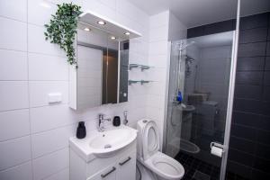 La salle de bains est pourvue de toilettes, d'un lavabo et d'une douche. dans l'établissement Flexi Homes Itäkeskus, à Helsinki