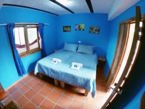 a blue bedroom with a bed and a window at Finca Momota Salento in Salento