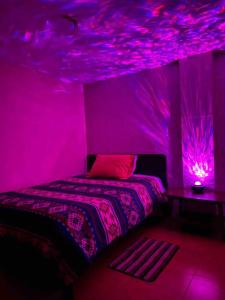 a purple bedroom with a bed and a purple ceiling at Hermosa habitación con terraza y vista al pastaza in Baños