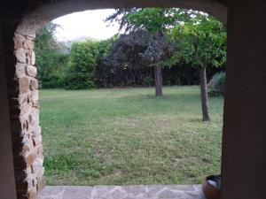ein Fenster mit Blick auf ein Feld mit einem Baum in der Unterkunft Chambres d'hôtes du Péras in Saint-Jean-du-Gard
