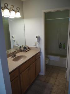 a bathroom with a sink and a mirror and a toilet at The Grand Getaway - Gorgeous And Great Location! in Traverse City