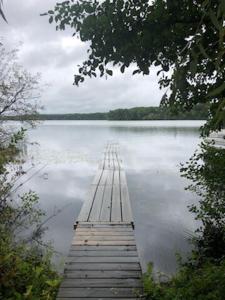 a wooden dock in the middle of a lake at The Green Lake Getaway - Shared Lake Access! in Interlochen