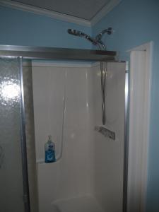 a bathroom with a shower with a sink and a shower at The Green Lake Getaway - Shared Lake Access! in Interlochen