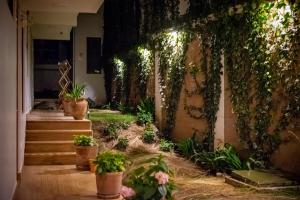 a hallway with potted plants on the wall at Inkantari Boutique Hotel in Cusco