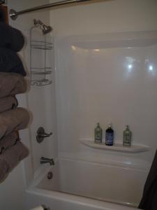 a bathroom with a shower with two bottles of soap at Manist-easy - Lakefront With Dock And Kayaks! in Kalkaska