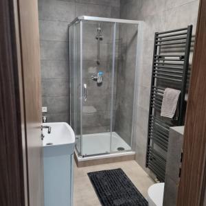a bathroom with a shower and a toilet and a sink at Černá růže - Apartmán 5 in Pilsen