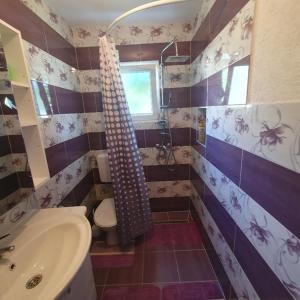 a bathroom with a sink and a toilet and a shower at HOLIDAY HOUSE MARIC 