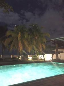 a swimming pool at night with palm trees in the background at Villa luxueuse - Pointe aux Sables in Pointe aux Sable