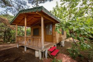 a small wooden cabin with red seats in a forest at Secret Garden Hotel & Bungalows in Cıralı