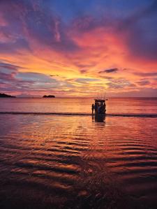 een boot in het water op een strand bij zonsondergang bij Hospedaje Combi dream bird in Guanacaste