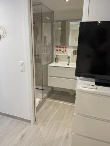 een badkamer met een televisie en een badkamer met een douche bij Grand studio neuf à 50 m du port in Saint-Tropez