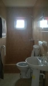 a bathroom with a toilet and a sink and a window at Pensiunea Dealu Negru 17B in Dealu Negru +5 photos