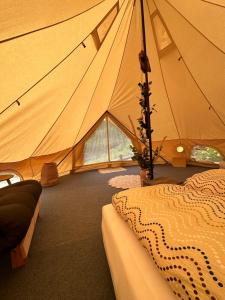 a tent with a bed and a plant in it at Glamping on idyllic lake, paddle boards & rowboat in Porsgrunn