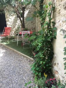 Vonkajšia záhrada v ubytovaní Petite maison sur jardin secret