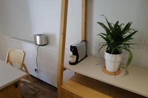 a plant sitting on a counter in a room at Les Gîtes d'Aillon et d'Ailleurs in Aillon-le-Jeune