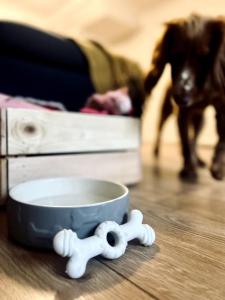 a bowl on a table with a dog in the background at Entire Modern House in Tamworth - 2 Double Beds + Free Parking in Tamworth