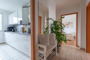 a kitchen with a chair and a plant in it at Exclusive 2-Room-City-Apartment - Contactless Check-in in Hannover