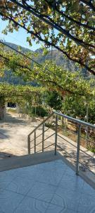 una rampa per skateboard con ringhiera in un parco di Green Forest a Berat