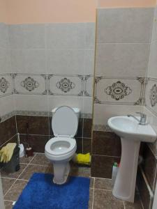 a bathroom with a toilet and a sink at ELSAR guesthouse in Osh