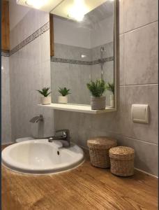 a bathroom with a sink and a mirror at Appartement Spacieux au Pays du Mont-Blanc in Sallanches