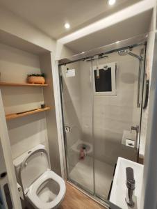 La salle de bains est pourvue d'une douche, de toilettes et d'un lavabo. dans l'établissement Apartamento Casa Ryo, à Santander