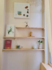 a shelf in a room with some plants on it at DAISY'S STAY in Hanoi